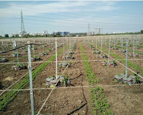 Concrete Wire Monofilament Line